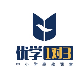 深圳市优教优学教育科技发展有限公司