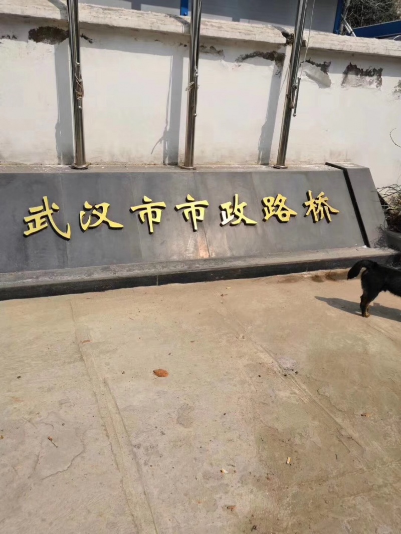 武汉市政路桥项目