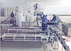 半自动装筐、卸筐机组