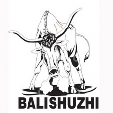 广州霸力树脂化工有限公司