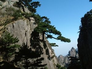 黄山