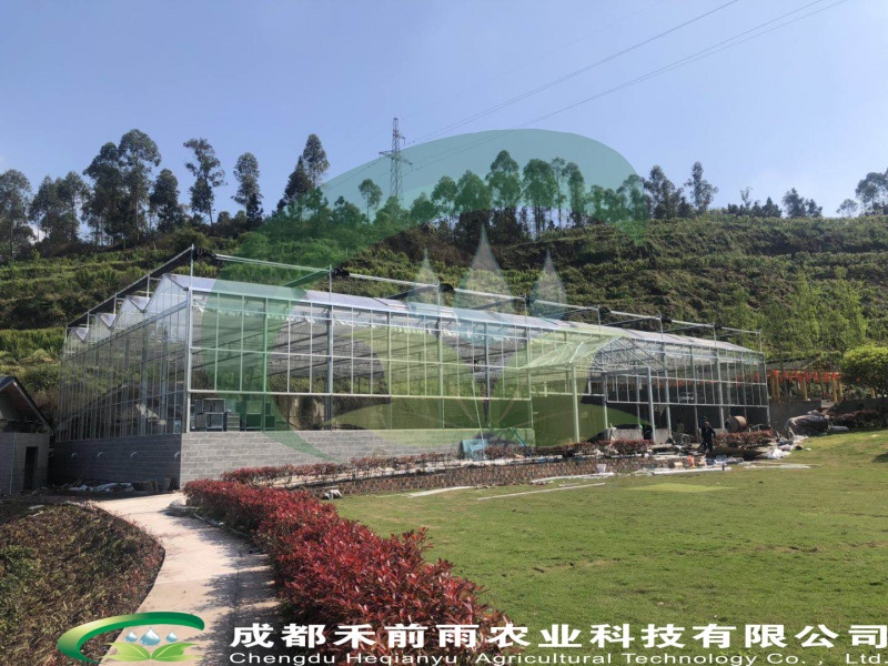 乐山犍为凤凰山庄生态