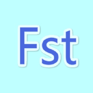深圳菲思特科技有限公司