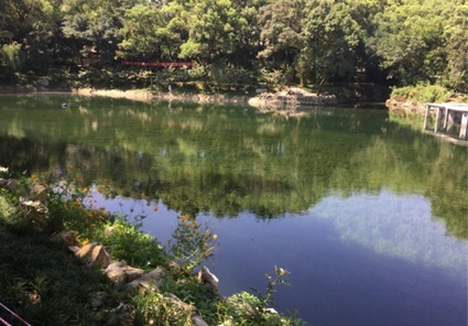 沙坪坝公园湖内源治理与生态修复工程