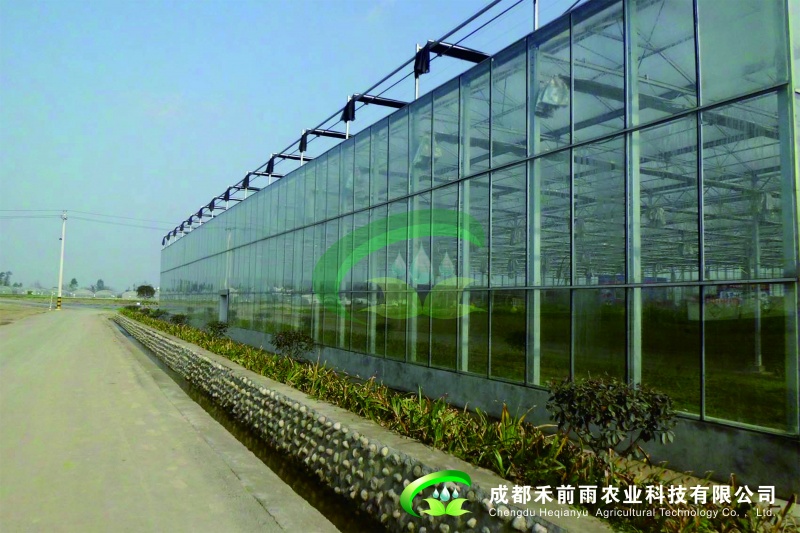 Venlo式玻璃温室
