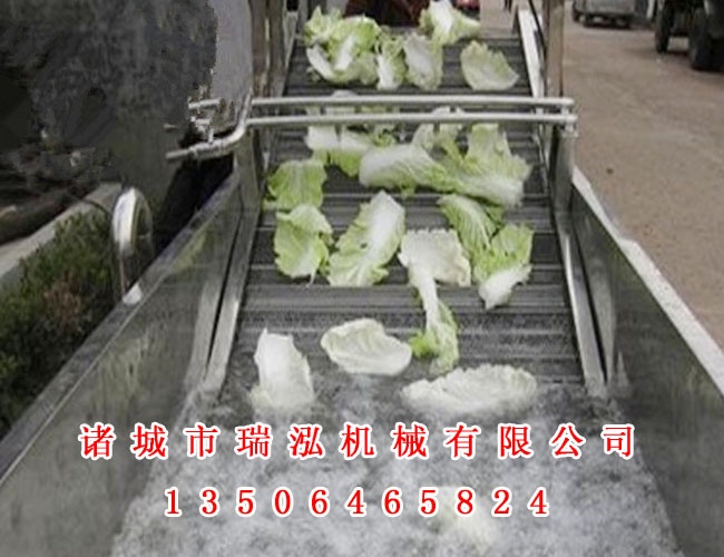 菠菜 白菜清洗机 蔬