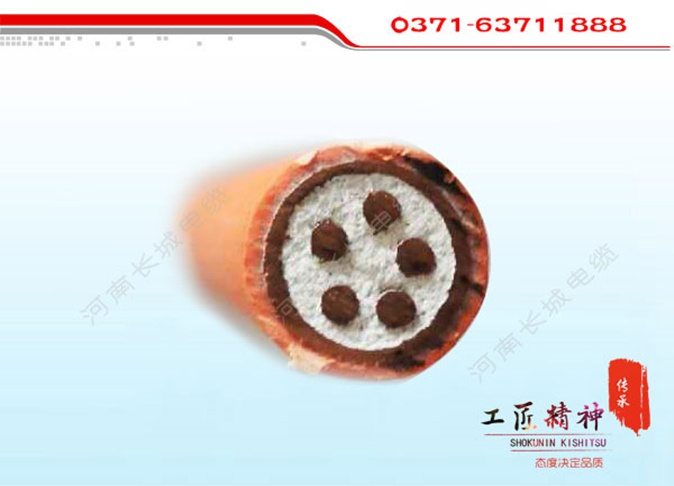 工业专用电缆1