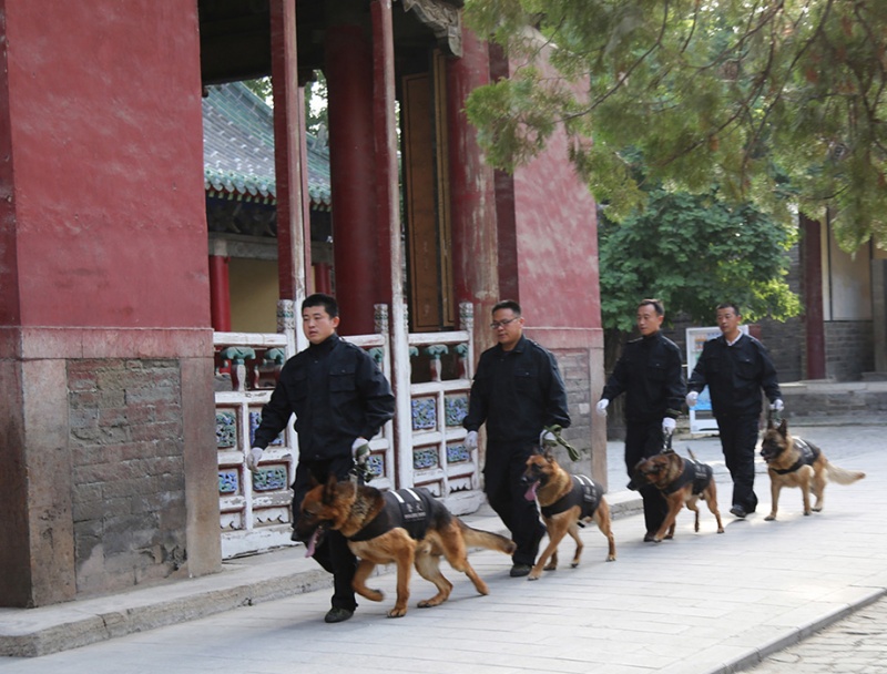 人犬结合巡逻现场