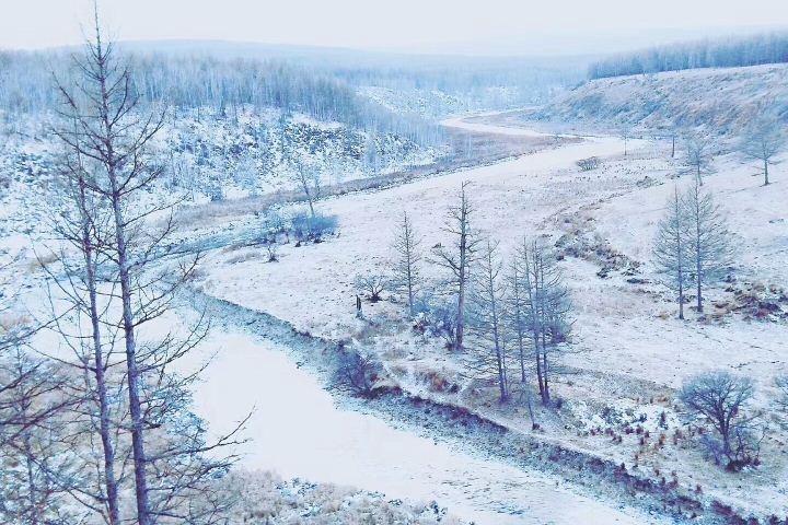 冬季*漠河4天3晚生态包车游