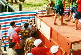 长隆野生动物世界野生动物搬运
