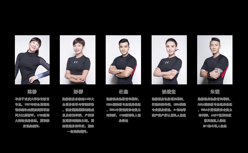 教练阵容