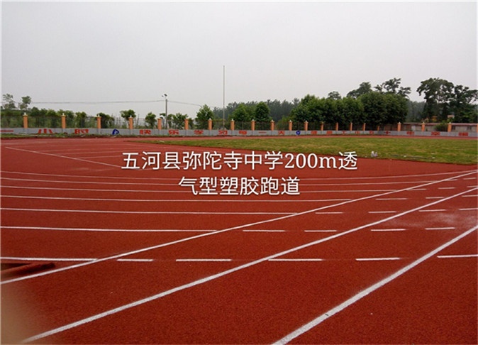 弥陀寺中学塑胶跑道