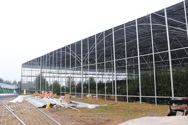 雅安茶园基地智能型温