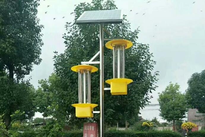 太阳能杀虫灯