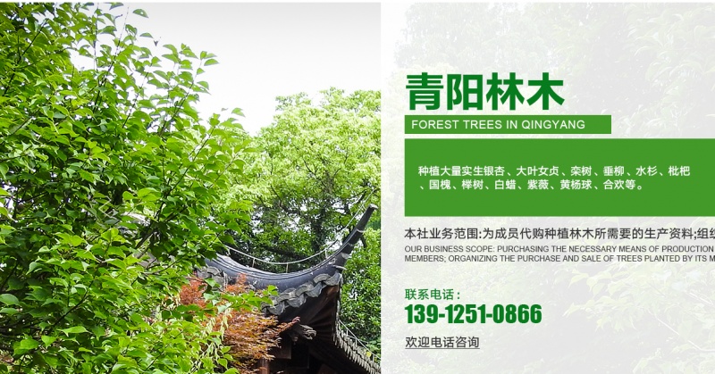青阳林木