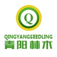 东台市青阳林木专业合作社