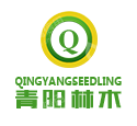 东台市青阳林木专业合作社
