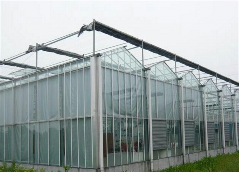 玻璃温室大棚工程案例