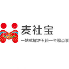 麦斯特人力资源有限公司