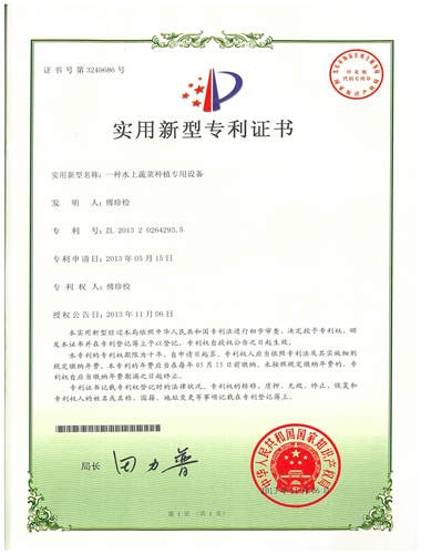 技术优势