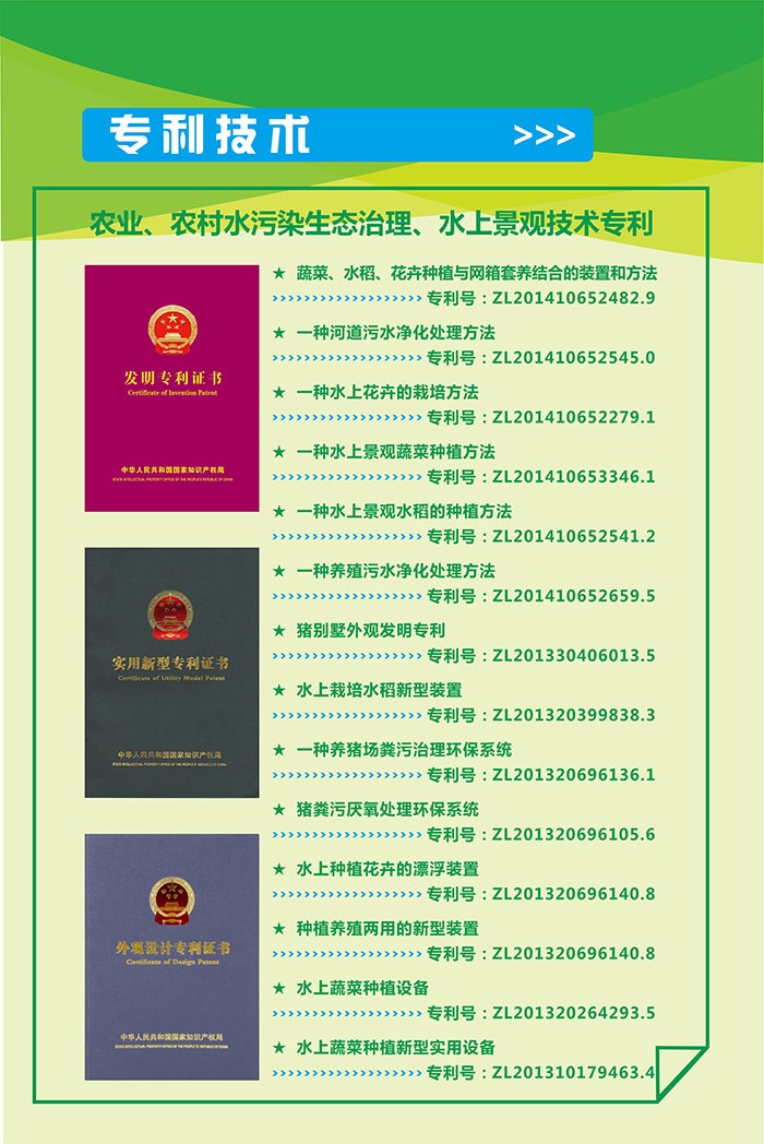 技术优势