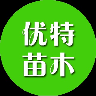 太谷县优特苗木绿化繁育中心