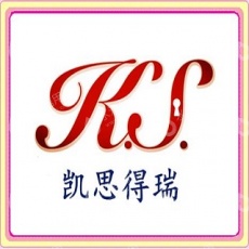 天津凯思得瑞财务咨询有限公司