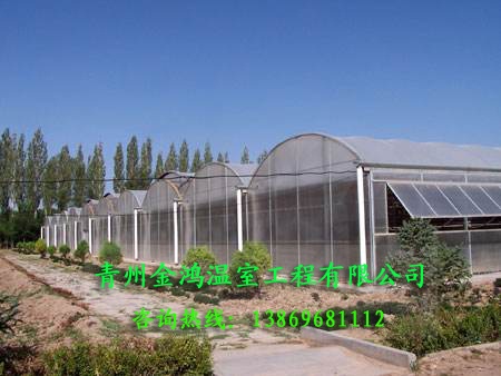 阳光板连栋温室