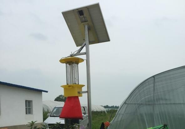 太阳能杀虫灯