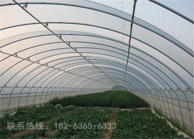 蔬菜温室大棚