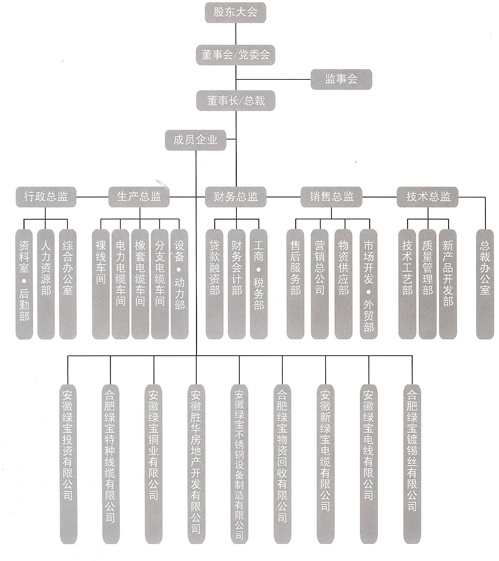 集团架构