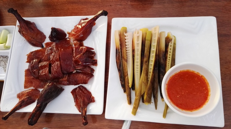 小麻鸭