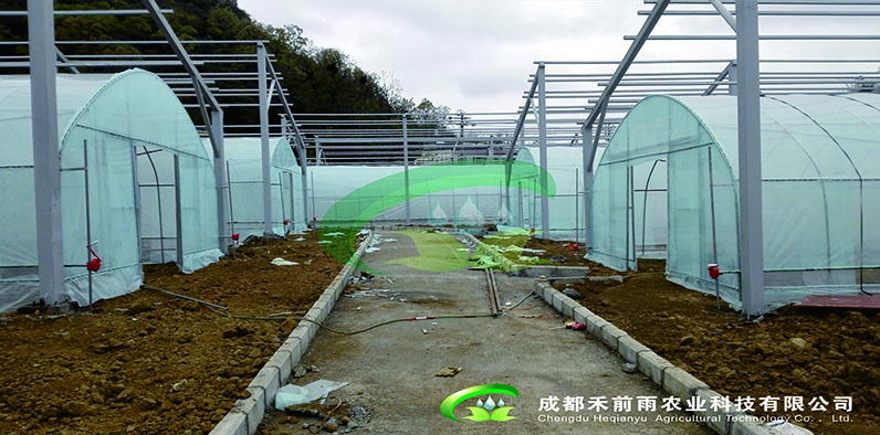单栋钢管薄膜温室