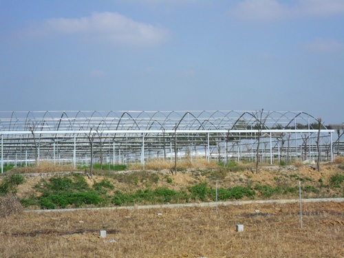 文络温室大棚