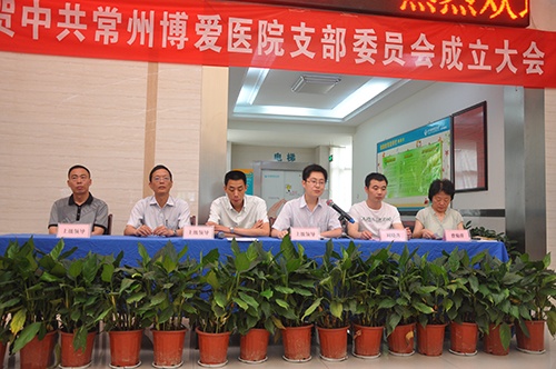 党支部正式成立