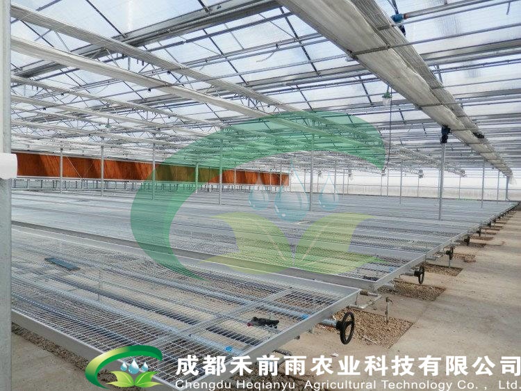 移动苗床系统