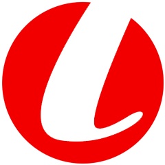 山东领网信息科技股份有限公司