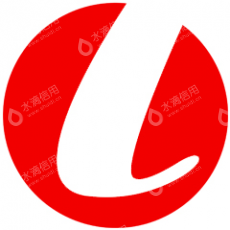 山东领网信息科技股份有限公司