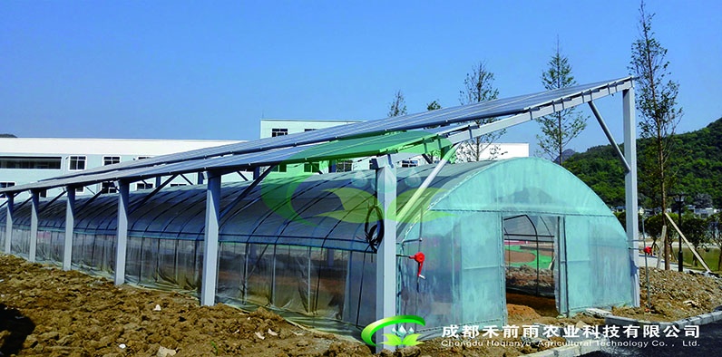 单栋钢管薄膜温室