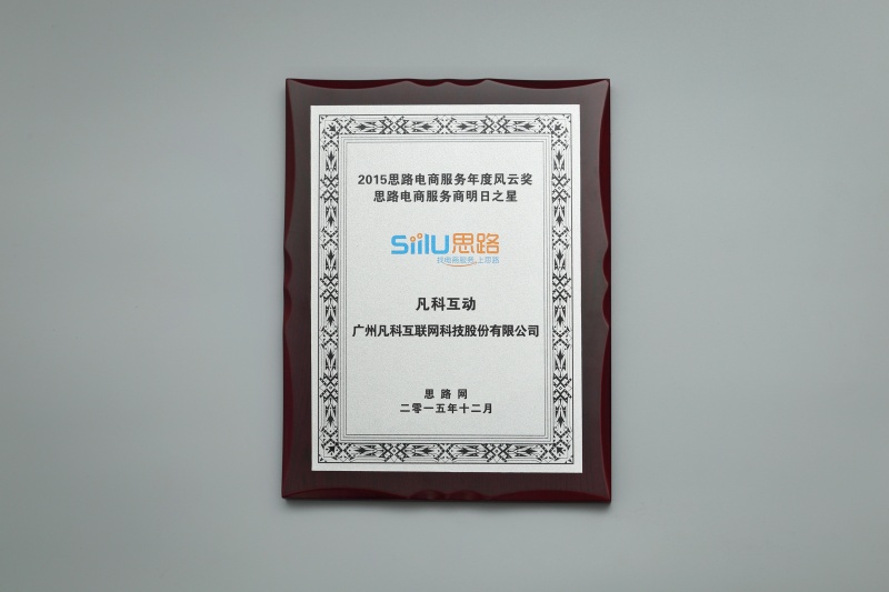 电商服务商明日之星