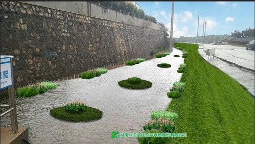 水上花卉