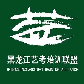 黑龙江艺观教育信息咨询有限公司