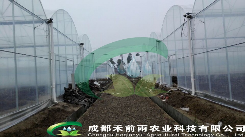 连栋钢管薄膜温室