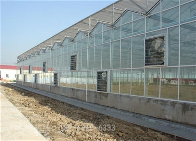 玻璃温室大棚