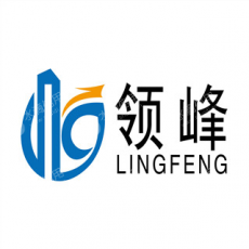 海南领峰房地产策划有限公司