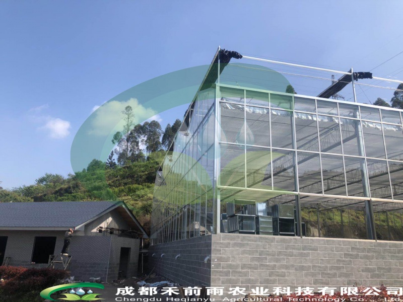 乐山犍为凤凰山庄生态