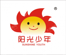 河南金辉国际旅行社有限公司