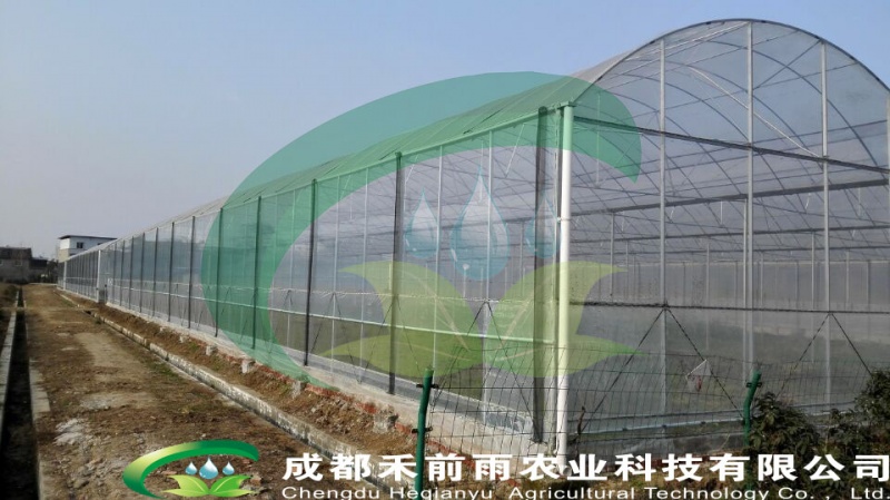 连栋钢管薄膜温室