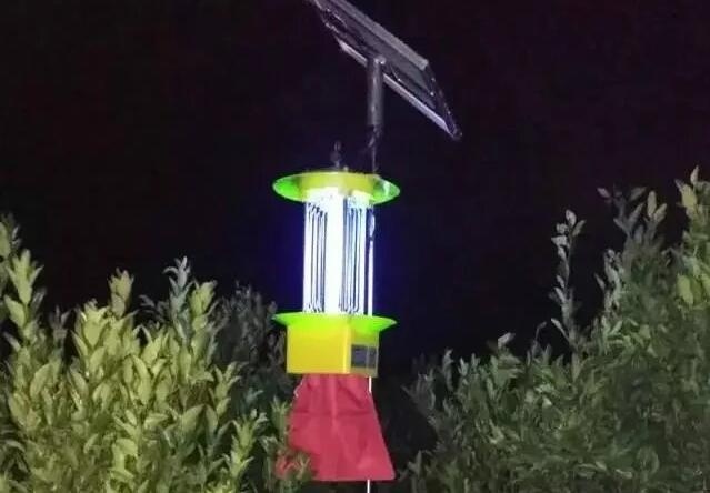 太阳能杀虫灯