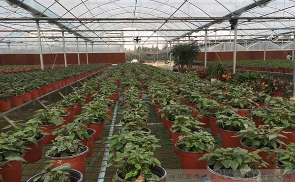 成都电动外遮阳温室案